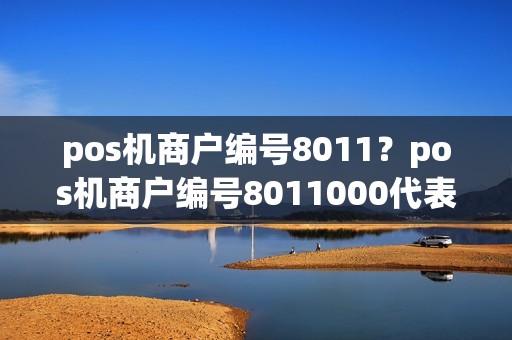 pos机商户编号8011？pos机商户编号8011000代表什么