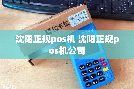 沈阳正规pos机 沈阳正规pos机公司