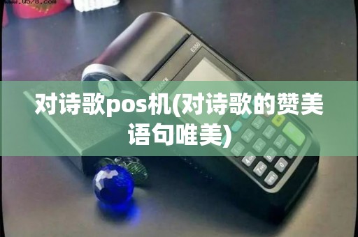 对诗歌pos机(对诗歌的赞美语句唯美)