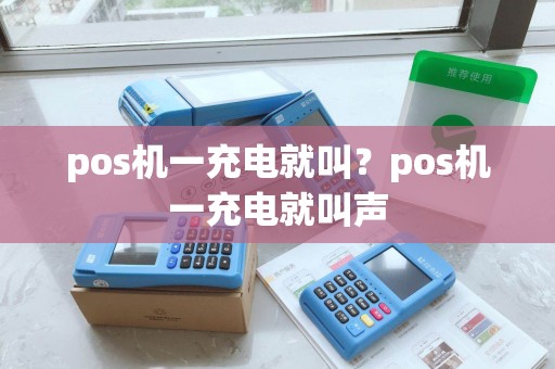 pos机一充电就叫？pos机一充电就叫声