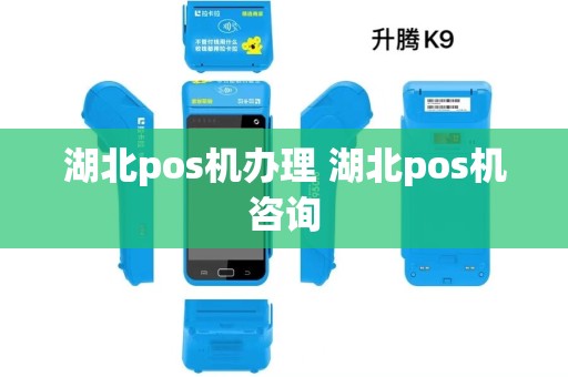 湖北pos机办理 湖北pos机咨询