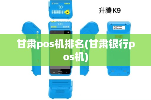 甘肃pos机排名(甘肃银行pos机)