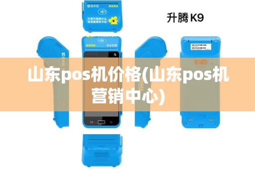山东pos机价格(山东pos机营销中心)