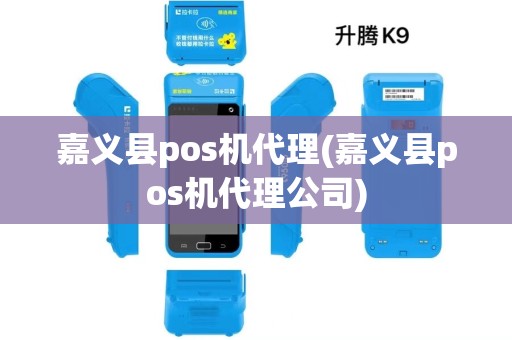 嘉义县pos机代理(嘉义县pos机代理公司)