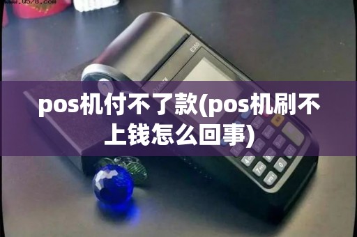 pos机付不了款(pos机刷不上钱怎么回事)