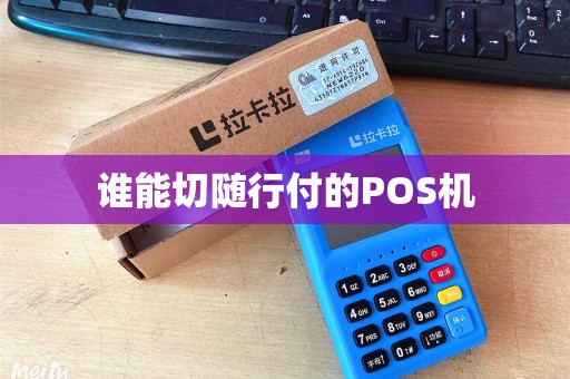 谁能切随行付的POS机