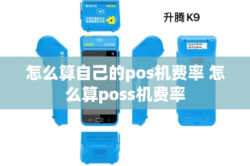 怎么算自己的pos机费率 怎么算poss机费率