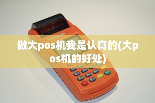 做大pos机我是认真的(大pos机的好处)