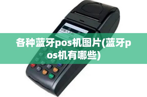 各种蓝牙pos机图片(蓝牙pos机有哪些)