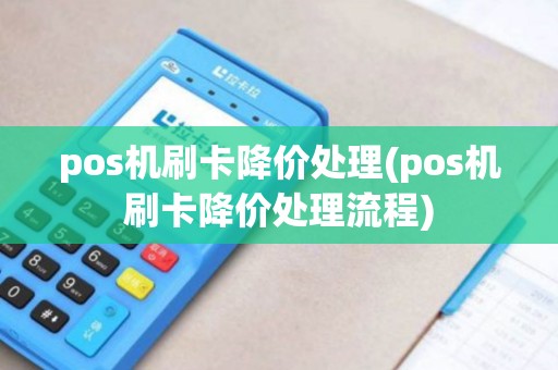 pos机刷卡降价处理(pos机刷卡降价处理流程)