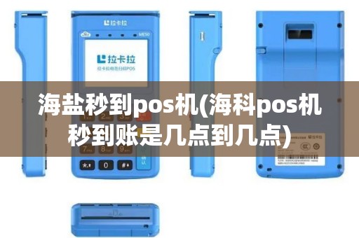 海盐秒到pos机(海科pos机秒到账是几点到几点)