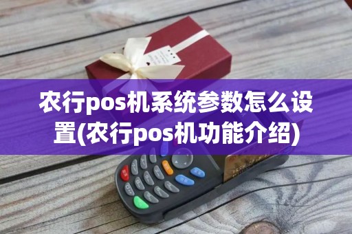 农行pos机系统参数怎么设置(农行pos机功能介绍)