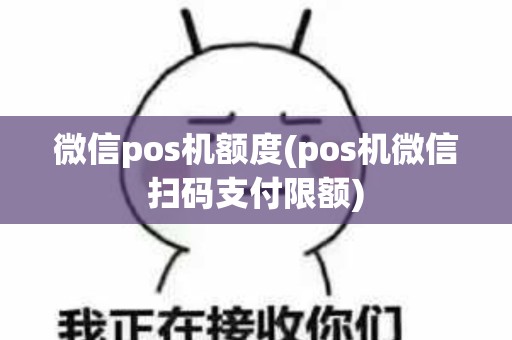 微信pos机额度(pos机微信扫码支付限额)