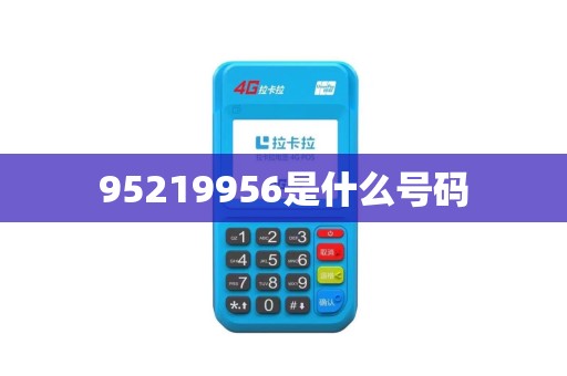 95219956是什么号码