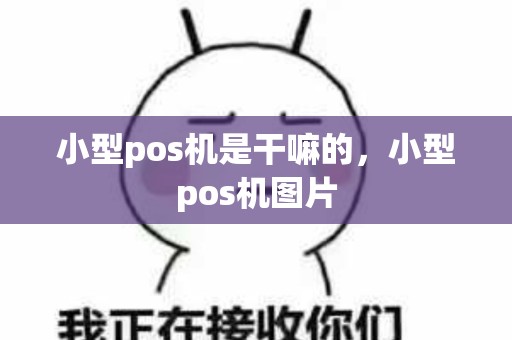 小型pos机是干嘛的，小型pos机图片