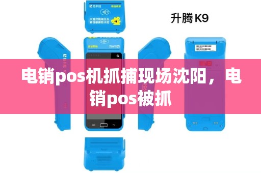 电销pos机抓捕现场沈阳，电销pos被抓