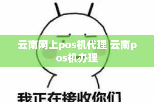 云南网上pos机代理 云南pos机办理