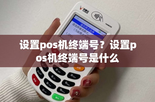 设置pos机终端号？设置pos机终端号是什么