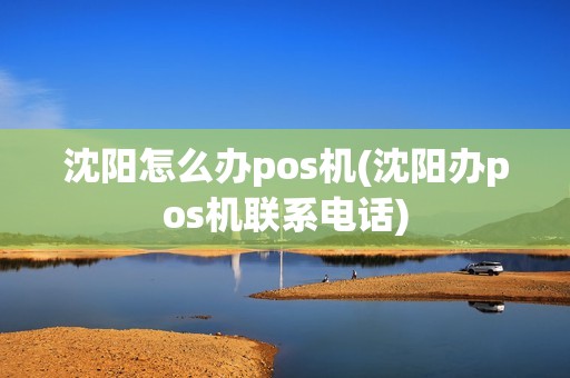 沈阳怎么办pos机(沈阳办pos机联系电话)
