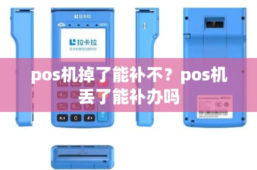 pos机掉了能补不？pos机丢了能补办吗