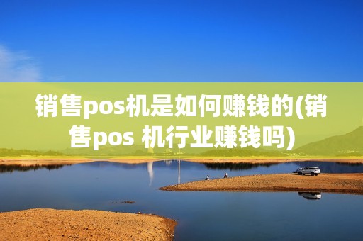 销售pos机是如何赚钱的(销售pos 机行业赚钱吗)