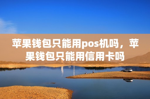 苹果钱包只能用pos机吗，苹果钱包只能用信用卡吗