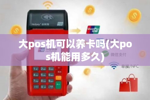 大pos机可以养卡吗(大pos机能用多久)