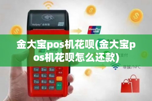 金大宝pos机花呗(金大宝pos机花呗怎么还款)