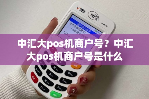 中汇大pos机商户号？中汇大pos机商户号是什么