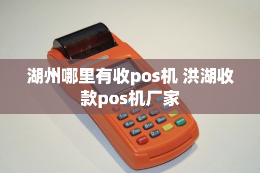 湖州哪里有收pos机 洪湖收款pos机厂家