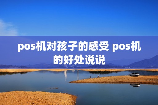 pos机对孩子的感受 pos机的好处说说