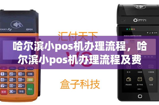 哈尔滨小pos机办理流程，哈尔滨小pos机办理流程及费用