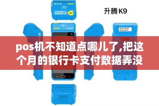 pos机不知道点哪儿了,把这个月的银行卡支付数据弄没了,怎么办