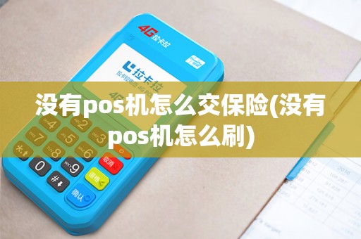 没有pos机怎么交保险(没有pos机怎么刷)