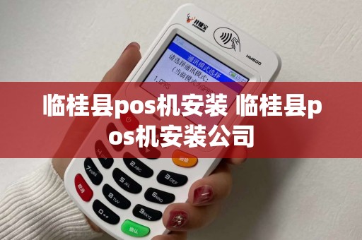 临桂县pos机安装 临桂县pos机安装公司