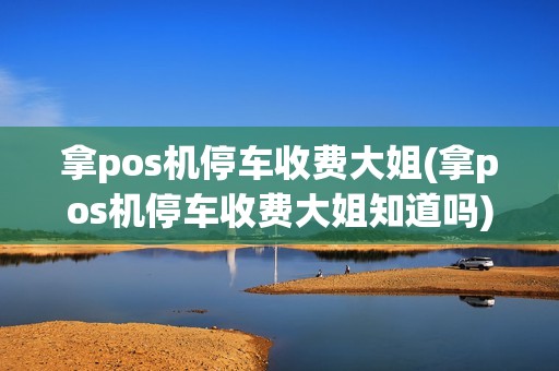 拿pos机停车收费大姐(拿pos机停车收费大姐知道吗)