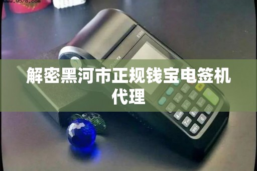 解密黑河市正规钱宝电签机代理