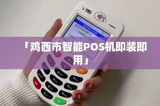「鸡西市智能POS机即装即用」
