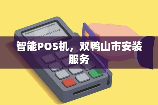 智能POS机，双鸭山市安装服务
