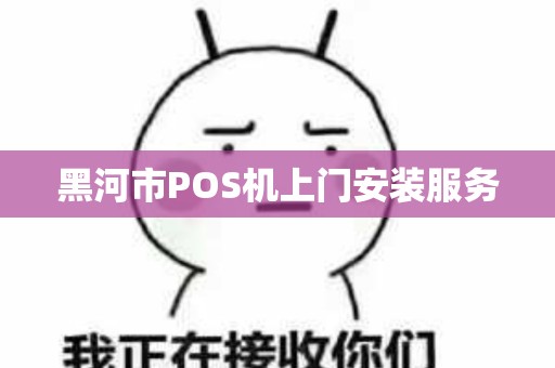 黑河市POS机上门安装服务