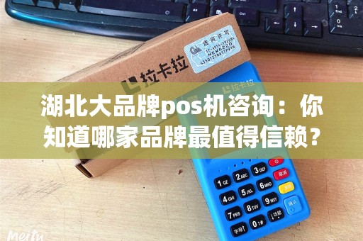 湖北大品牌pos机咨询：你知道哪家品牌最值得信赖？