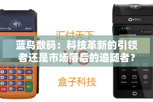 蓝鸟数码：科技革新的引领者还是市场落后的追随者？