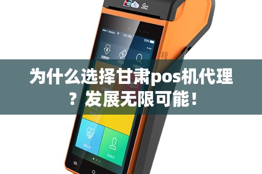 为什么选择甘肃pos机代理？发展无限可能！