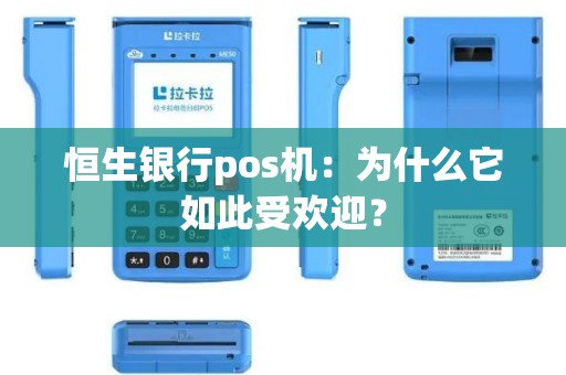 恒生银行pos机：为什么它如此受欢迎？