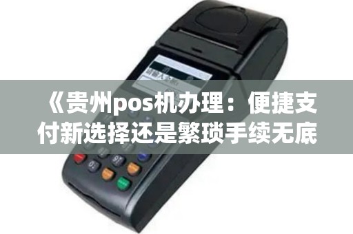 《贵州pos机办理：便捷支付新选择还是繁琐手续无底洞？》