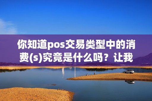 你知道pos交易类型中的消费(s)究竟是什么吗？让我们一探究竟！