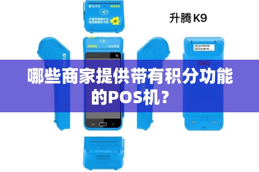 哪些商家提供带有积分功能的POS机？