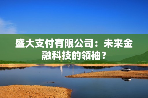 盛大支付有限公司：未来金融科技的领袖？