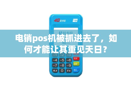 电销pos机被抓进去了，如何才能让其重见天日？
