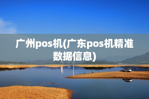 广州pos机(广东pos机精准数据信息)